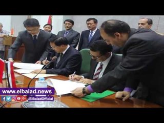 صدى البلد |وزير الزراعة: الصين تفتح أسواقها لصادرات العنب المصري