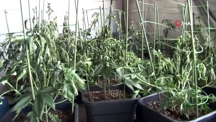 Rezidansta Kenevir Serası Kuran Üniversiteliyi Yangın Ele Verdi