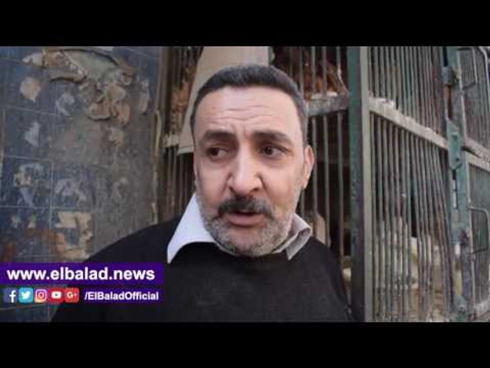 صدى البلد | مواطنون عن استيراد الدواجن:"موافقين بشرط خفض الأسعار"