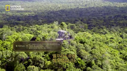 태안출장안마 -100%미인ョØ7Øh7575dØØ69{문의톡CK654}태안전지역출장마사지샵태안출장go안마ok태안출장마사지황형ОПР출장콜걸마인드최고