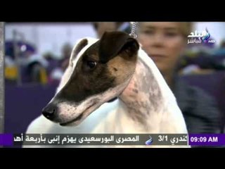 ملخص لأهم الأحداث التي شاهدها العالم اليوم | صدى البلد