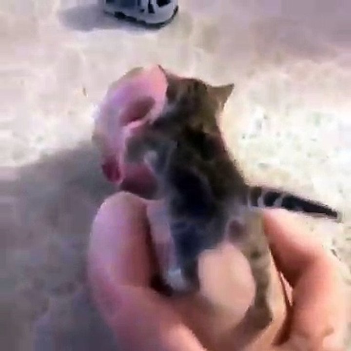 Ce bébé se fait plaisir avec ce chaton. Trop drôle à voir !!
