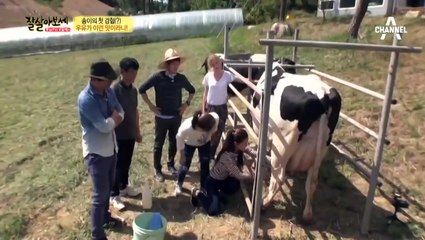 안동출장안마 -신용100%ョØ7Øg7575dØØ69{문의톡MGM1472}안동전지역출장마사지샵'안동출장wo안마gy안동출장마사지황형◐▤▥출장안마후기마인드최고