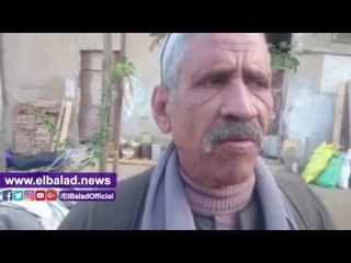 صدى البلد |  صناعة إنتاج العسل بقرية شبشير الحصة بالغربية بين الحياه والموت