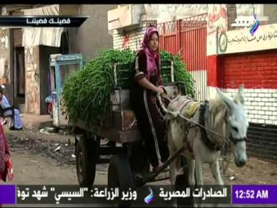 M3a Shobeir -مع شوبير - قضيتك.. قضيتنا أهم وأبرز القضايا مع شوبير