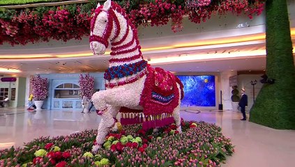 Akash Ambani-Shloka Mehta wedding venue