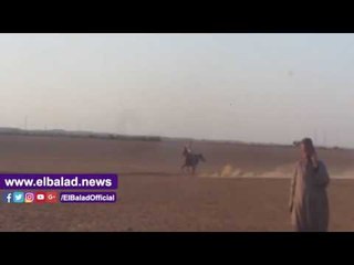 صدى البلد |  محافظة بني سويف تطلق المهرجان السياحي بـ"واحة ميدوم" بمشاركة كافة فئات المجتمع