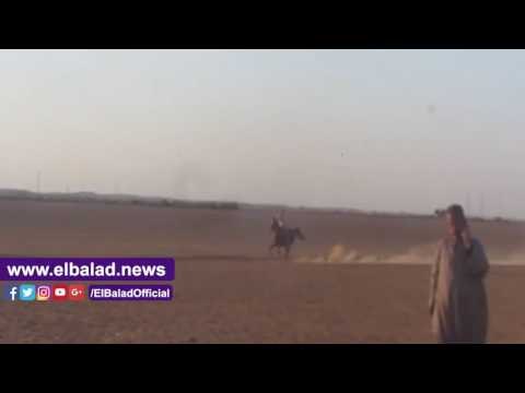 صدى البلد | محافظة بني سويف تطلق المهرجان السياحي بـ واحة ميدوم بمشاركة كافة فئات المجتمع