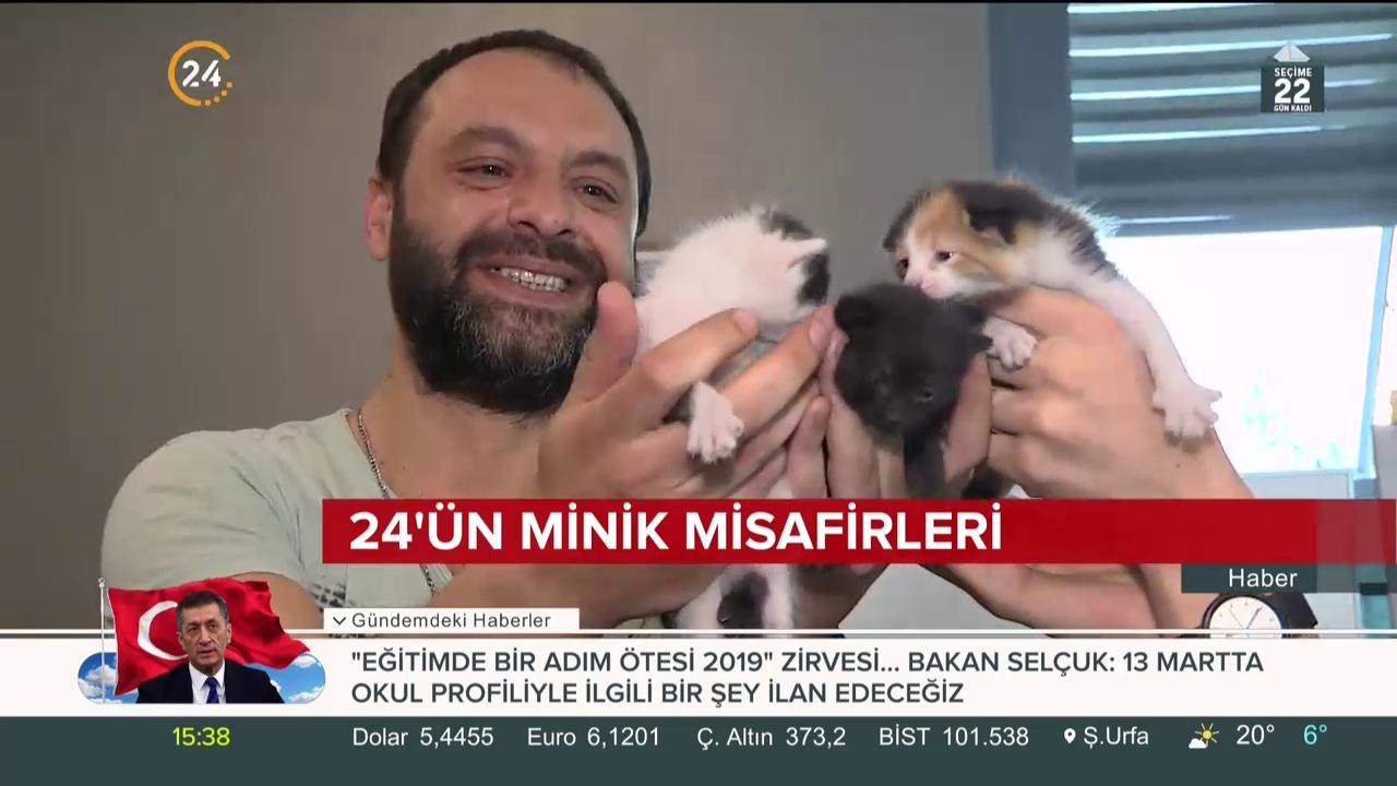 Kedilerin annesi bekleniyor