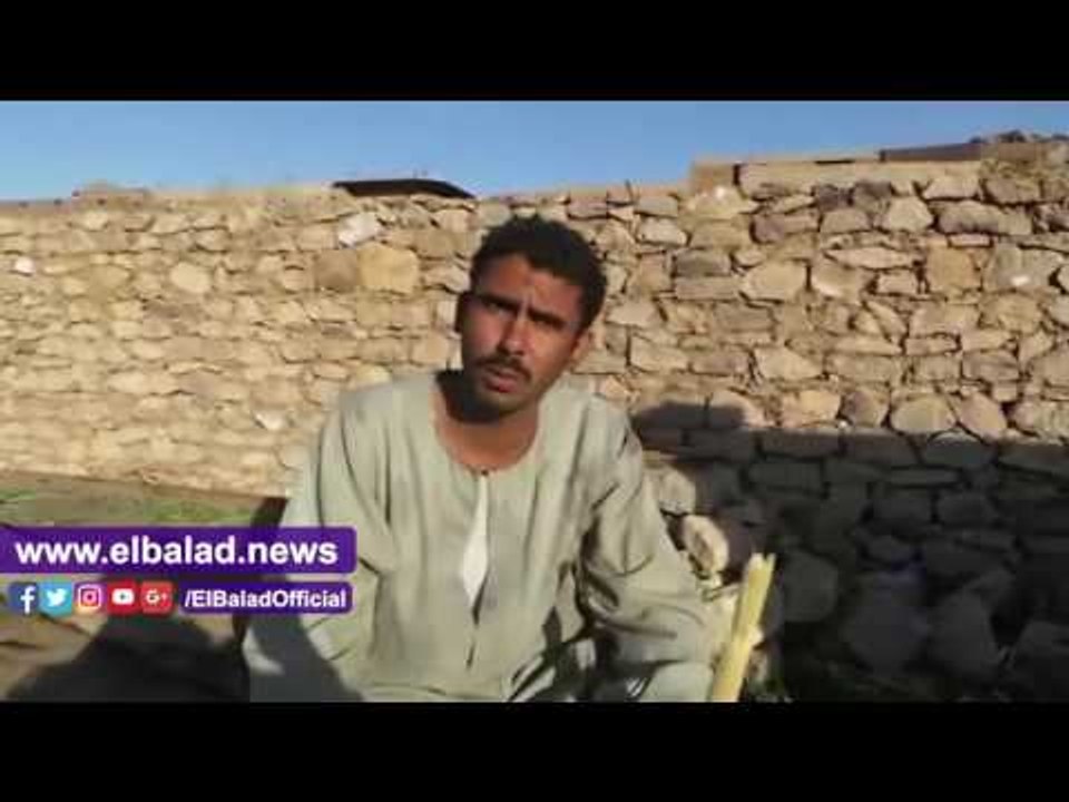 صدى البلد | مصانع السكر تستعد للتشغيل غدًا بأسوان