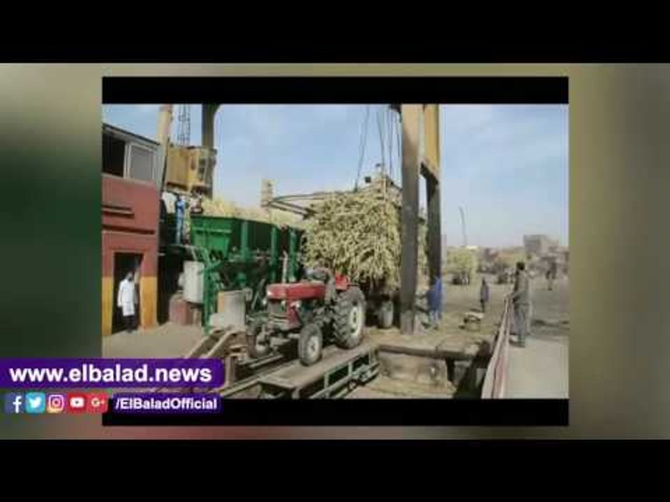 صدى البلد | محافظ المنيا يتابع بدء موسم عصر قصب السكر بمصنع سكر ابوقرقاص