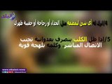 صدى البلد | ماذا تفعل إذا هاجمك كلب