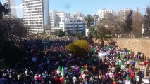 Huge protests in Algeria against President Bouteflika