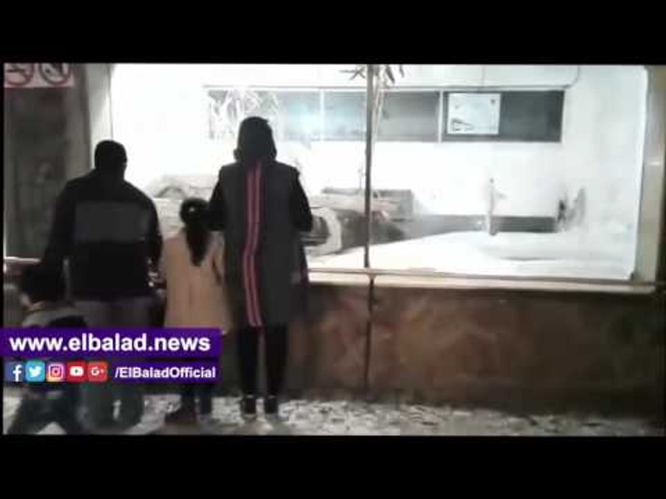 صدى البلد |إقبال المواطنين على بيت الزواحف بحديقة الحيوان