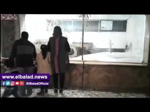 صدى البلد |إقبال المواطنين على بيت الزواحف بحديقة الحيوان