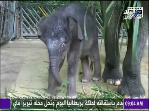 صباح البلد - غرب 5 أحداث شهدها العالم