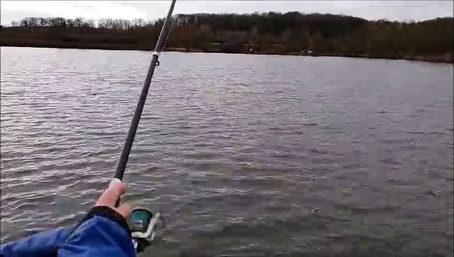 Ouverture de la pêche à la truite à Lunéville et dans les alentours