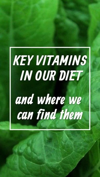 Vitamins we need in our diet and where to find them