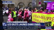 17ème samedi de mobilisation des gilets jaunes dans Paris (1/2)