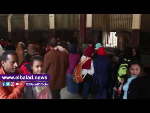صدى البلد |إقبال كبيرعلى بيت السباع بحديقة الحيوان