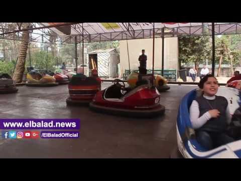 صدى البلد |إقبال المواطنين على حديقة الحيوان في ذكرى ثورة يناير