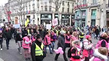 Fransa'da Sarı Yelekliler, Gösterilerin 17'nci Haftasında Sokaklarda