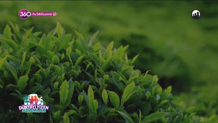 Dünyayı Yiyen Adamlar (09.03.2019)