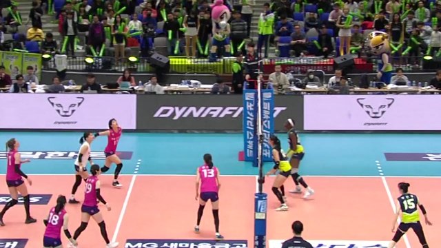 흥국생명 2년 만에 5번째 정규리그 우승 달성 / YTN