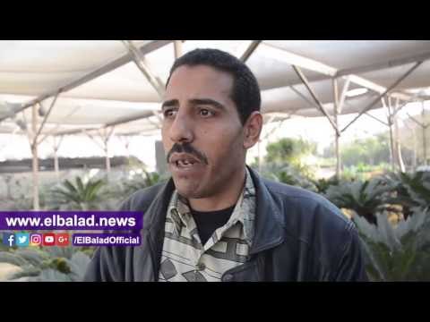 صدى البلد | قبل عيد الحب... يا ورد مين يشتريك والحبيب غالى