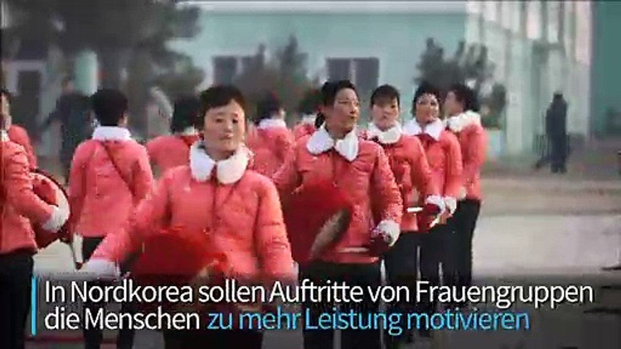 Nordkorea: Flaggenschwingen für die Arbeiterklasse