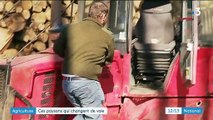 Agriculture : ces paysans qui changent de voie