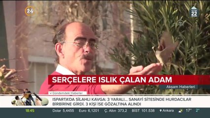 Video herunterladen: Serçelerle iletişim kuruyor