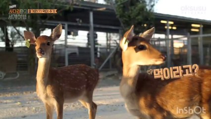 [JPNsub]EXO travel EP.22