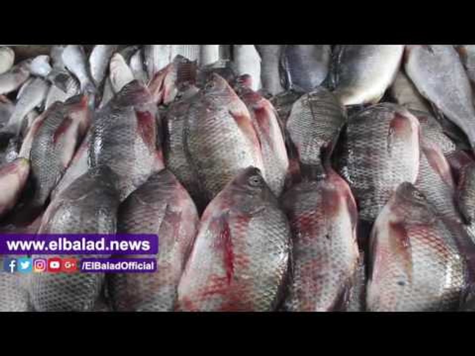صدى البلد | ننشر أسعار الخضار والفاكهة واللحوم اليوم بالاسواق