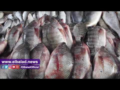 صدى البلد | ننشر أسعار الخضار والفاكهة واللحوم اليوم بالاسواق