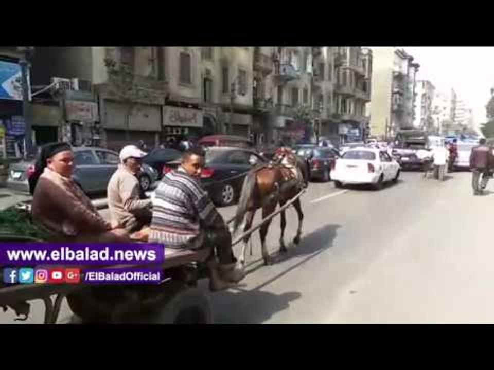صدى البلد |  "الكارو" والشرطة وجها لوجه في شارع...