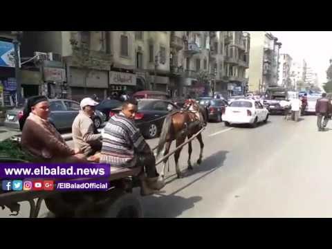 صدى البلد | الكارو والشرطة وجها لوجه في شارع قصر العيني