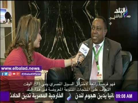 صدى البلد |عروض سيراميكا كليوباترا في معرض القاهرة الدولي