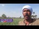 صدى البلد | مزارعو القمح بالفيوم :الحكومة "كرهتنا في زراعته"..التقاوى فاسدة