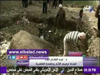 صدى البلد |خبير آثار: طريقة استخراج تمثال المطرية «جريمة كبرى»