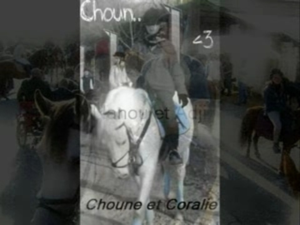 Ecurie