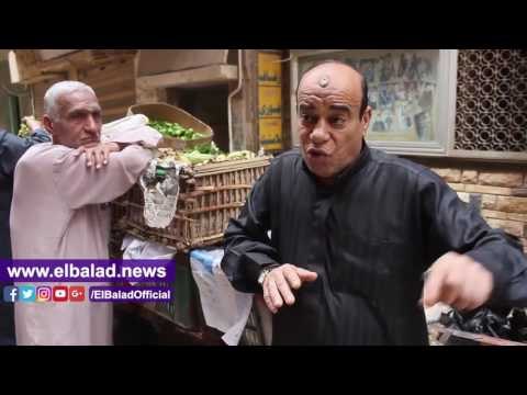 صدى البلد | الكلاب الضالة والقمامة تحاصر اهالى المطرية : بندفع فلوس تجديد الخدمات من جيبنا