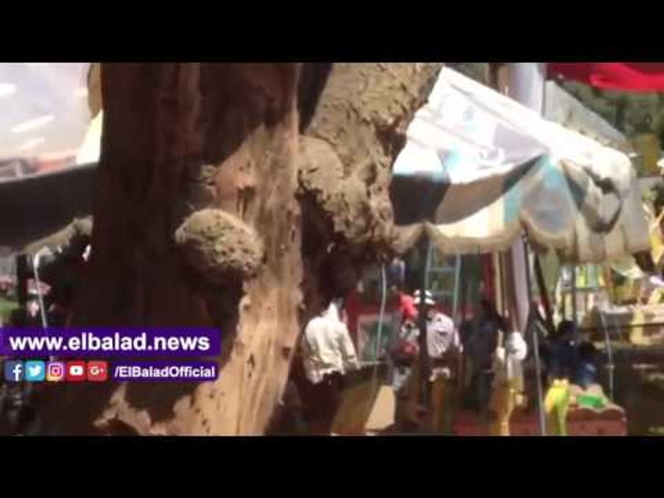 صدى البلد | القناطر الخيرية منتجع البسطاء والغلابة خلال الاحتفال بشم النسيم