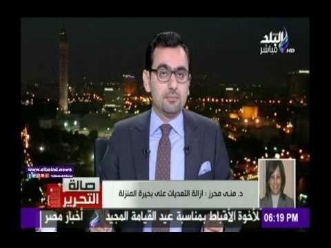 صدى البلد |منى محرز: 60 الف طن نقص فى استيراد الأسماك من الخارج هذا العام