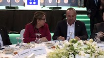 Çavuşoğlu: 'Gümrük Birliği Anlaşması'nın modernizasyonunu gerçekleştireceğiz'  - ANTALYA