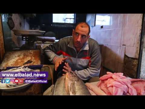 صدى البلد | «جنون السمك».. اختفاء البلطي.. والبوري مولع قبل شم النسيم