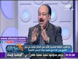 صدى البلد |عز العرب: تنسيق مصري خليجي لصد التدخلات الإقليمية في الشئون الداخلية