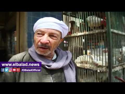 صدى البلد | صدى البلد فى جولة بالاسواق .. ارتفاع أسعار الاسماك .. وانخفاض الدواجن