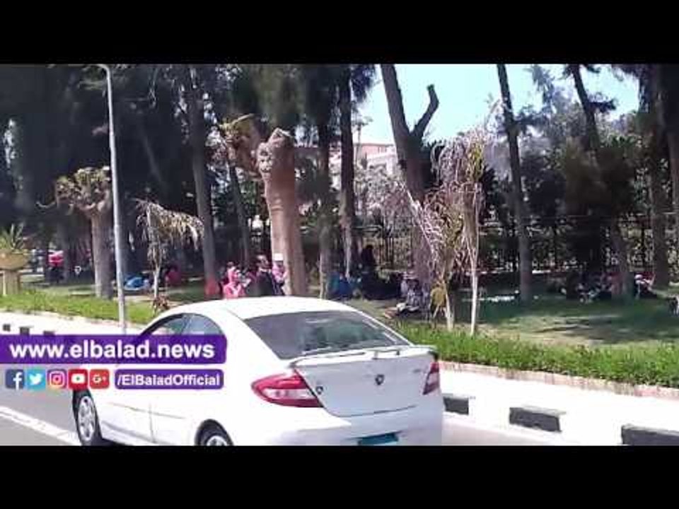صدى البلد | إقبال كبير من "السكندريين" على الحدائق والشواطئ احتفالا بشم النسيم