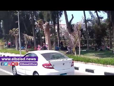 صدى البلد | إقبال كبير من السكندريين على الحدائق والشواطئ احتفالا بشم النسيم
